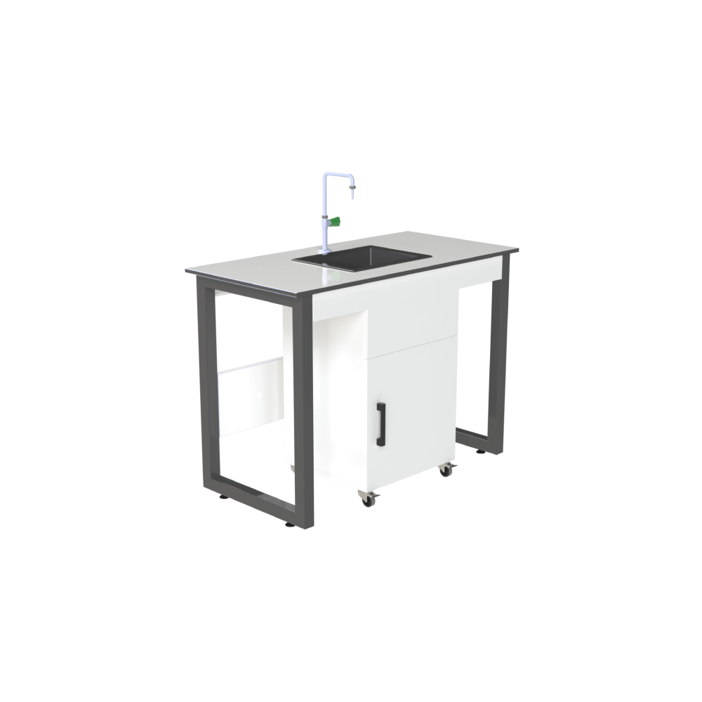 Laverie de laboratoire avec meuble mobile - cadsolution Algérie
